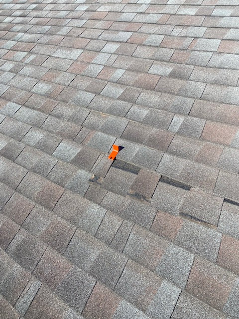 Roof Clip - Pack of 25