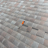 Roof Clip - Pack of 25