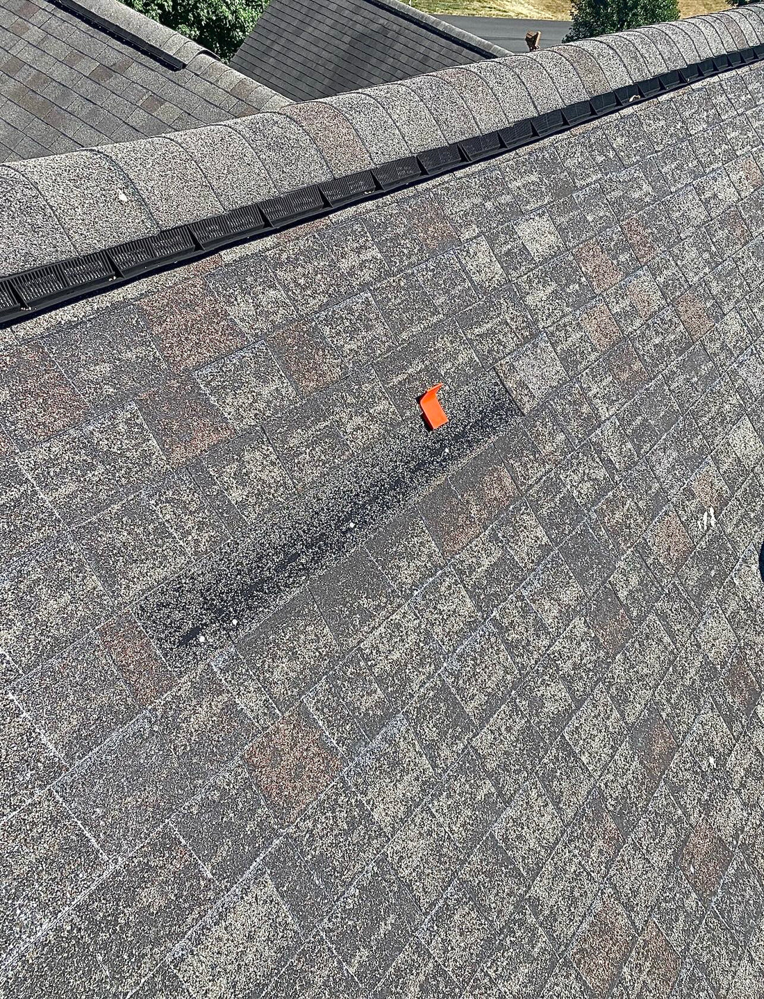 Roof Clip- Pack of 10