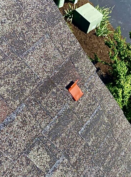 Roof Clip- Pack of 10