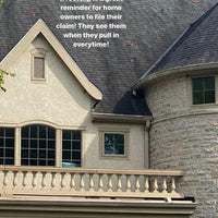 Roof Clip- Pack of 10